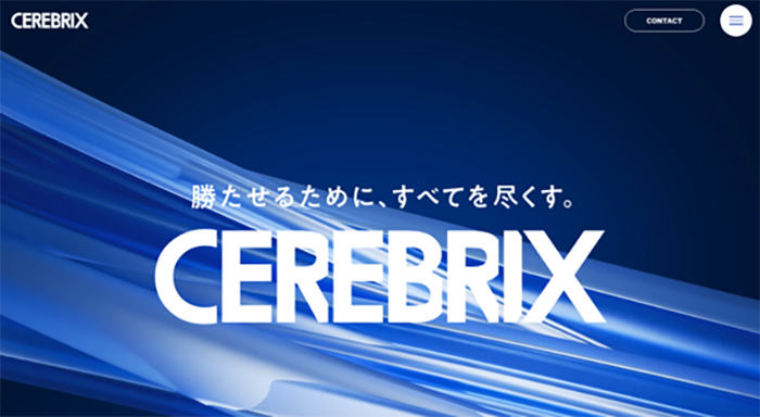 株式会社セレブリックス